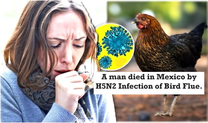 H5N2 Avian Influenza