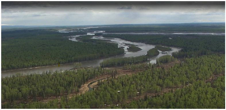 Denali National Park, River and jungle