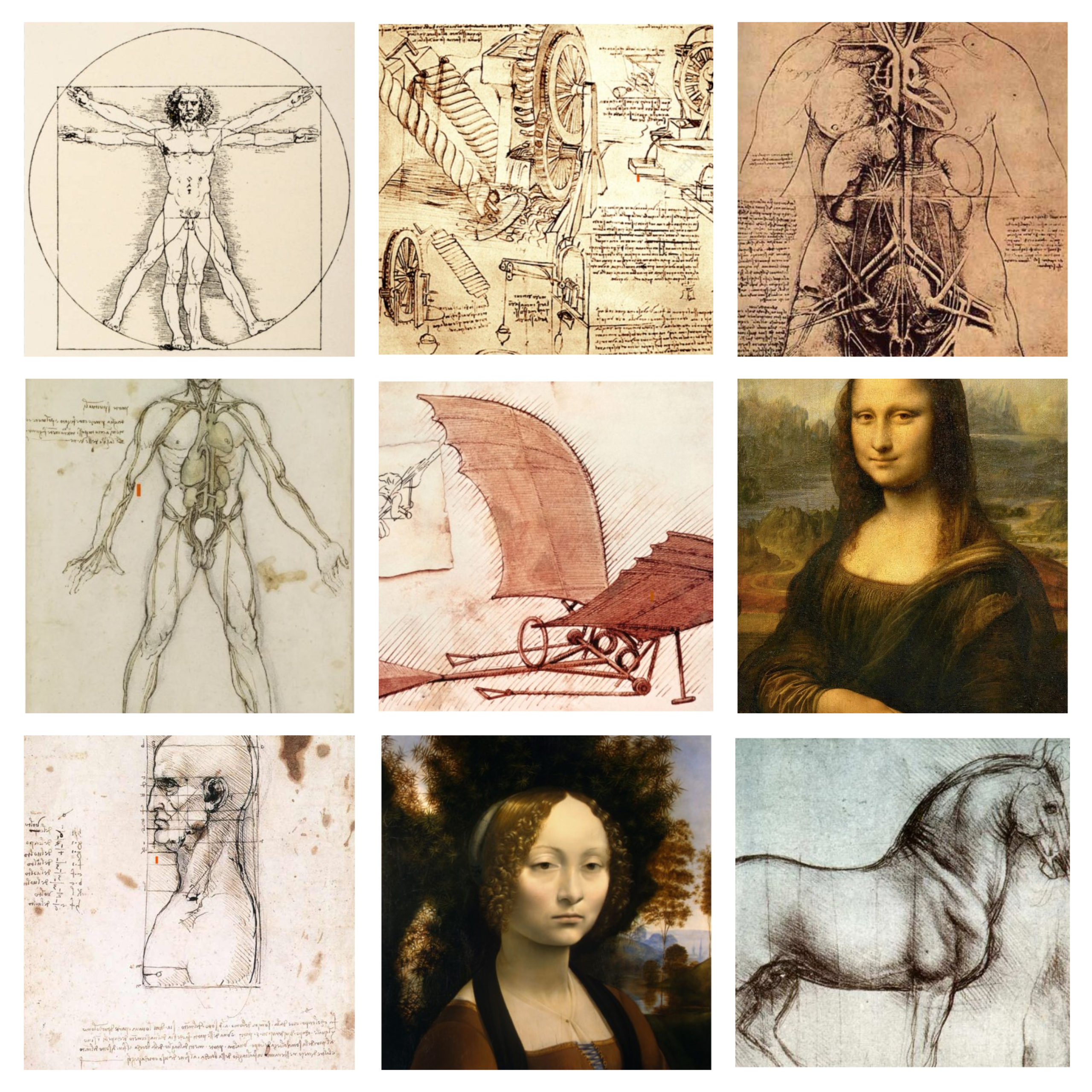 Leonardo da vinci drawings