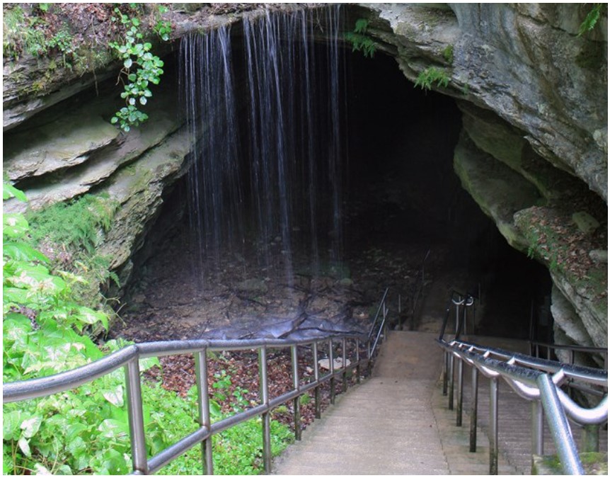 Mammoth Cave National Parks