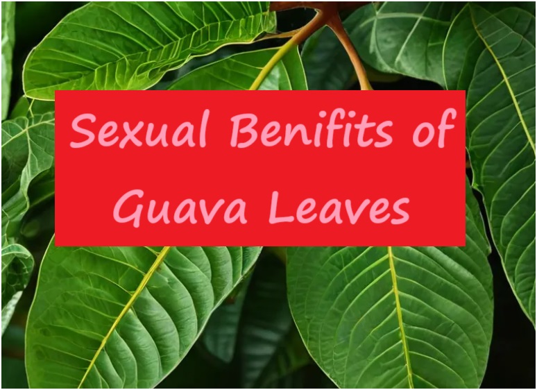 Guava