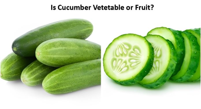 Cucumber