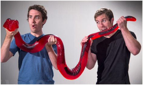 World's Largest Gummi Worm