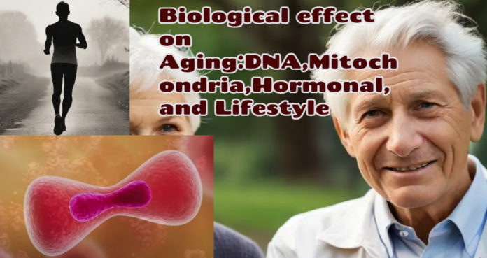 Biological effect on aging