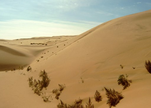 Gobi Desert