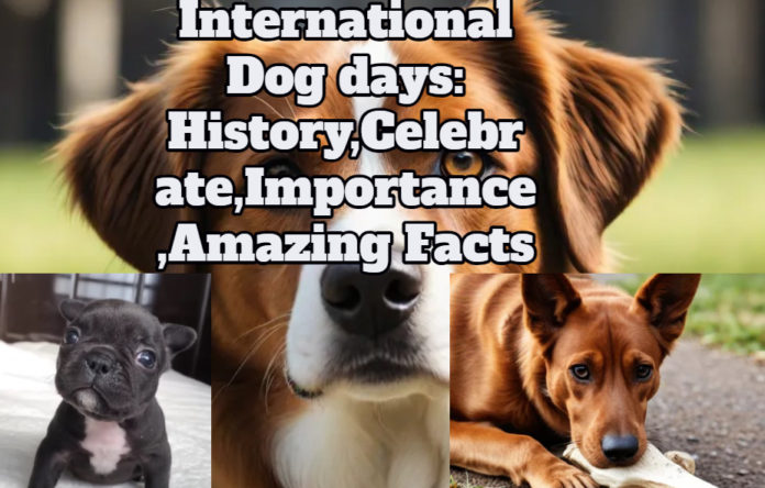 International Dog Days