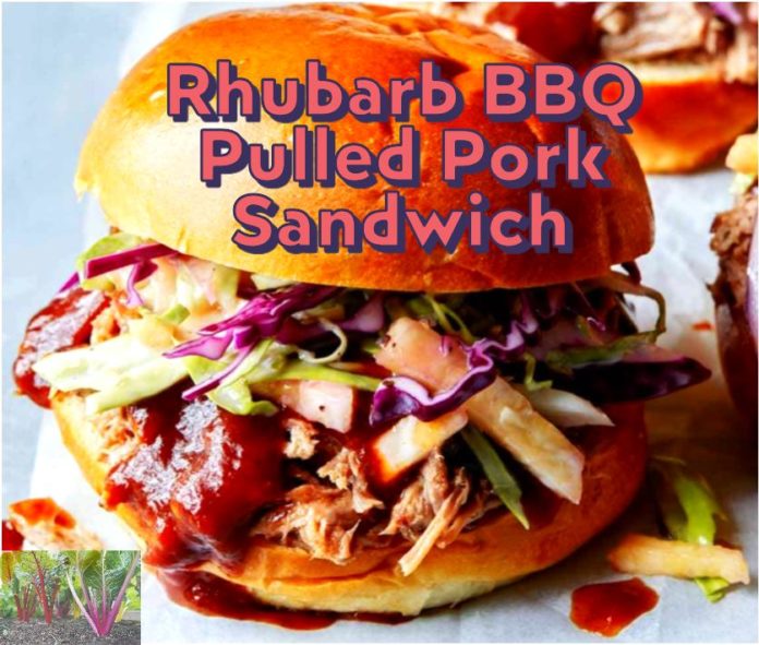 Rhubarb BBQ pulled pork sandwich