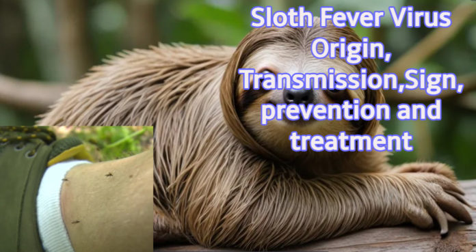 Sloth Fever Virus